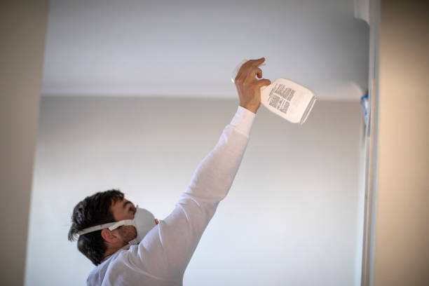 Best Water Damage Restoration  in Salina, UT
