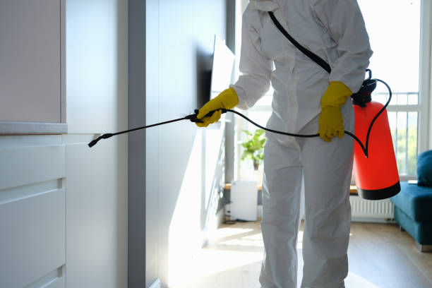 Best Mold Remediation  in Salina, UT