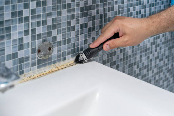 Best Mold Removal Company Near Me  in Salina, UT
