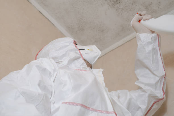 Best Home Mold Removal  in Salina, UT