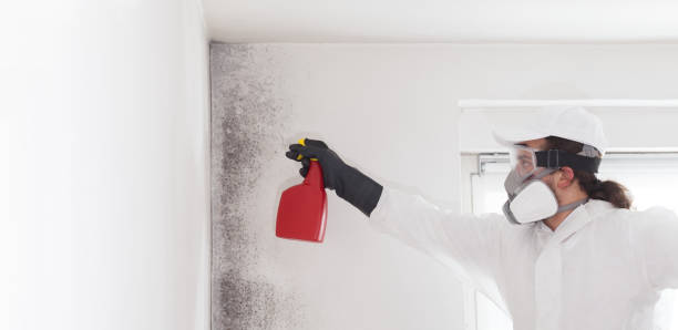 Best Mold Testing  in Salina, UT