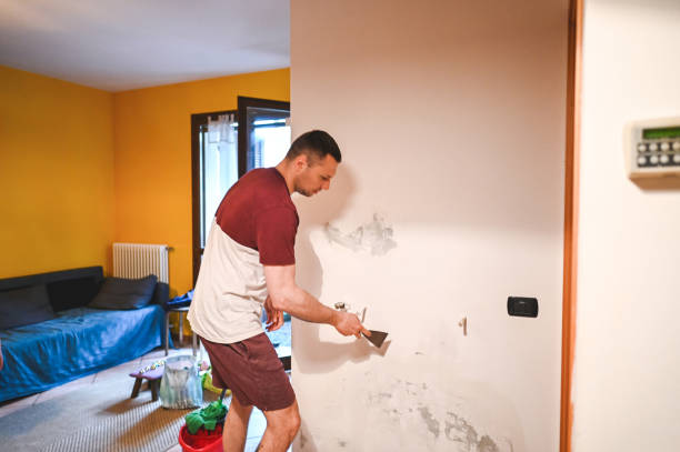 Best Mold Remediation  in Salina, UT